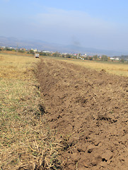 Image showing Agriculture abstract