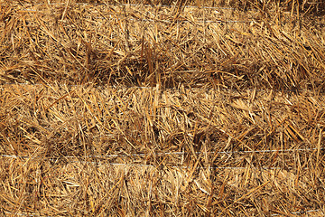 Image showing Hay texture