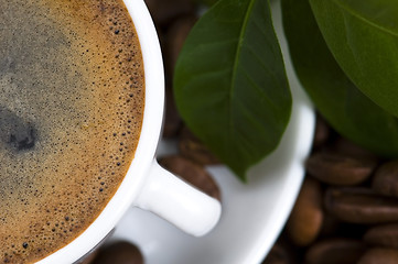 Image showing fresh coffee with coffee branch