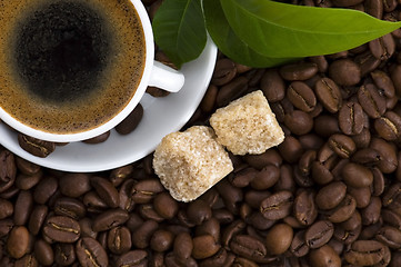 Image showing fresh coffee with coffee branch