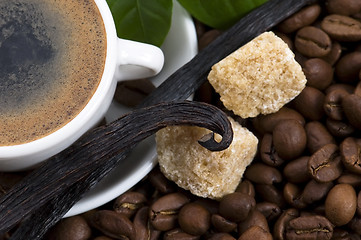 Image showing aroma coffee with vanilla and coffee branch