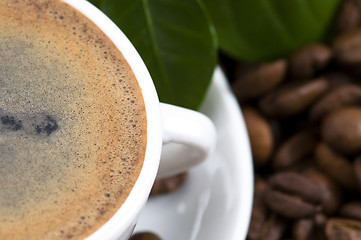 Image showing fresh coffee with coffee branch