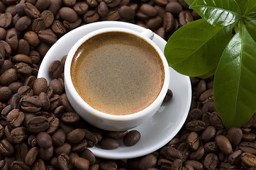 Image showing fresh coffee with coffee branch