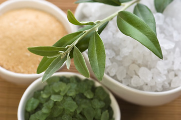 Image showing fresh olive branch and bath salt. spa