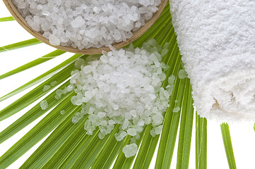 Image showing bath salt and palm leaf