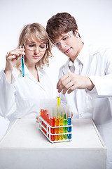 Image showing Working scientists