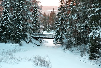 Image showing Winter creek