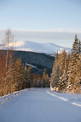 Image showing Winter road