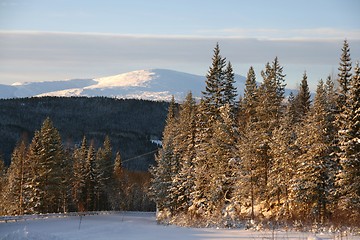 Image showing Winter landscape