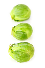 Image showing Isolated brussels sprouts