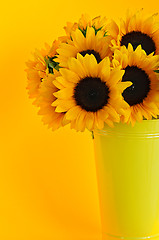 Image showing Sunflowers in vase