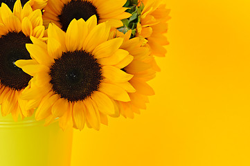 Image showing Sunflowers in vase