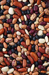 Image showing Dry beans