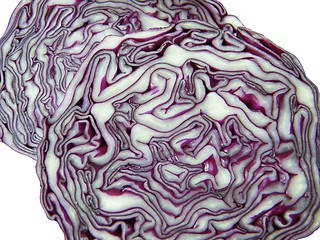 Image showing Red cabbage