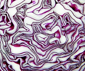 Image showing Red cabbage