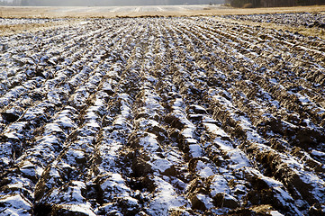 Image showing Ploughed field