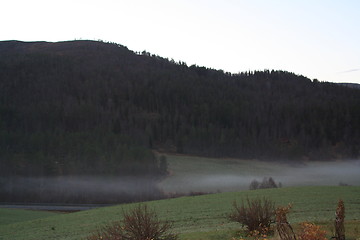 Image showing Morning dew