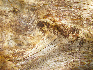 Image showing Wooden texture