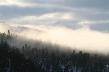 Image showing Foggy day