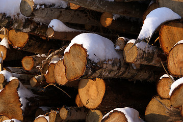 Image showing Wood For Energy