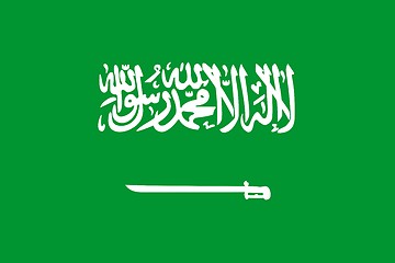 Image showing The national flag of Saudi Arabia