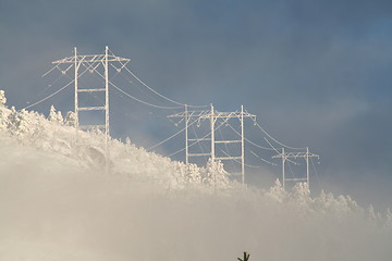 Image showing Frozen masts