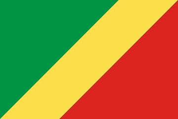 Image showing The national flag of Congo