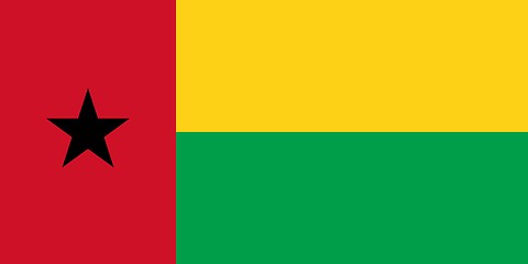 Image showing The national flag of Guinea-Bissau