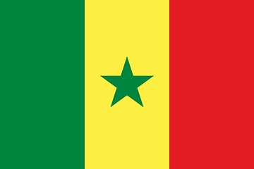 Image showing The national flag of Senegal