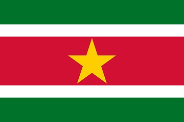 Image showing The national flag of Suriname