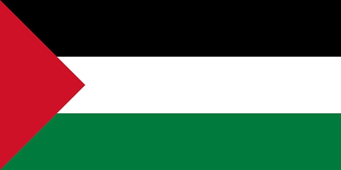 Image showing The national flag of Palestine
