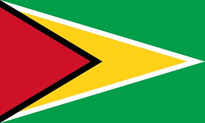 Image showing The national flag of Guyana