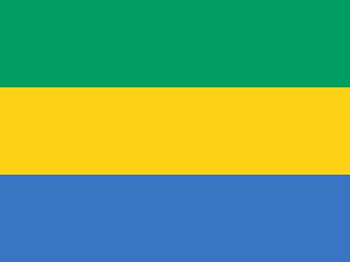 Image showing The national flag of Gabon