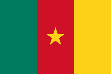 Image showing The national flag of Cameroon