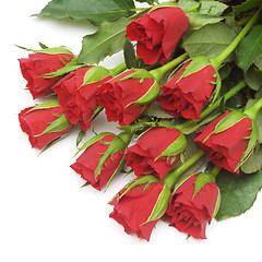 Image showing Red roses