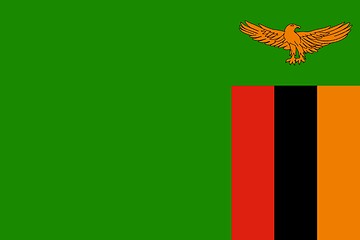 Image showing The national flag of Zambia