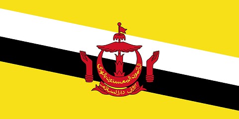 Image showing The national flag of Brunei