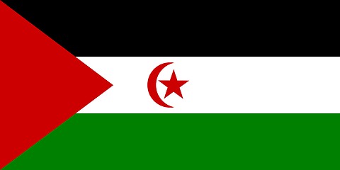 Image showing The national flag of Western Sahara