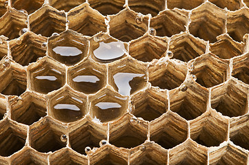 Image showing Honeycomb