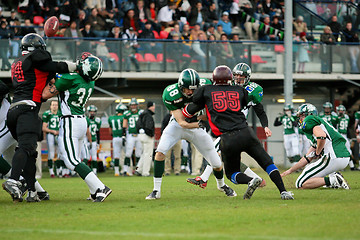 Image showing Danube Dragons vs. Wroclaw The Crew