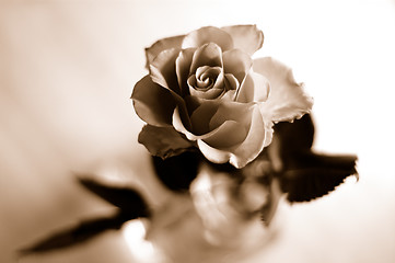 Image showing Rose in sepia