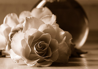 Image showing Roses in sepia