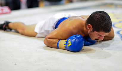 Image showing Charity Boxing 2009