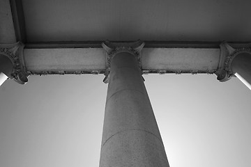 Image showing Tall Columns