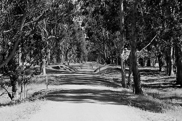 Image showing Road In A Park