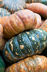 Image showing Pumpkins