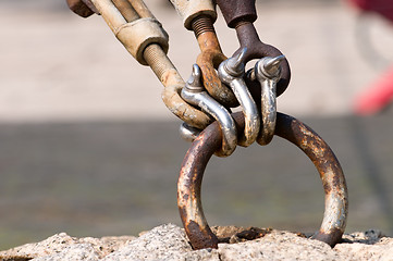 Image showing Pattern of shackle