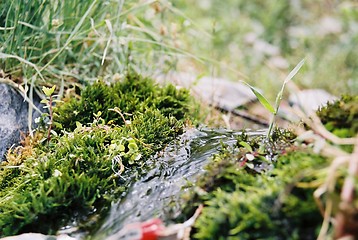 Image showing mountain spring