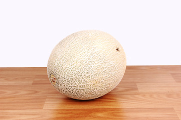 Image showing A big cantaloupe.