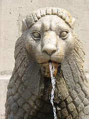 Image showing Lion in Budapest